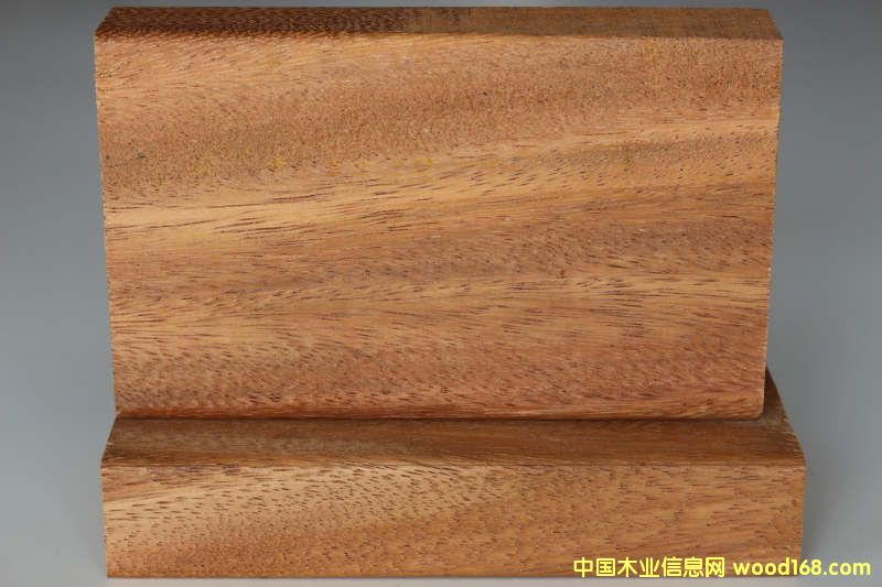 [��] ���޲��}������Ȼ����ľ