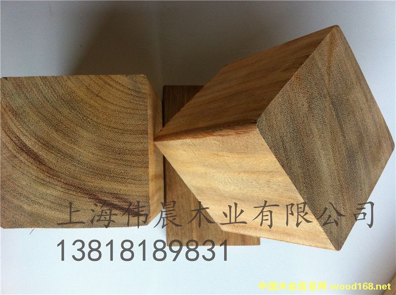 [��] ����(y��ng)���޲��}�����ľ�ذ�