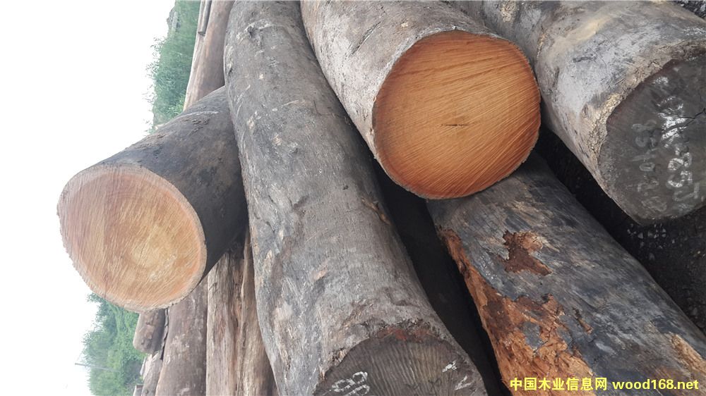 [��] ����(y��ng)���ڈ@�ֹŽ�ľ��-���޲��}��ľ�M��ľ��