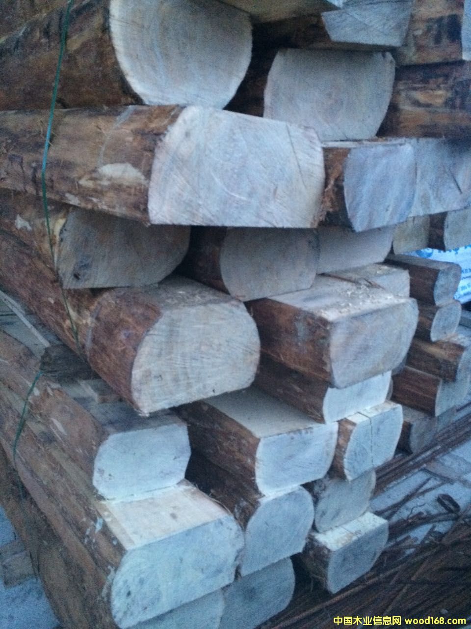 ���_˹�Ϸ��M(j��n)����ľ��Ԕ��(x��)��B