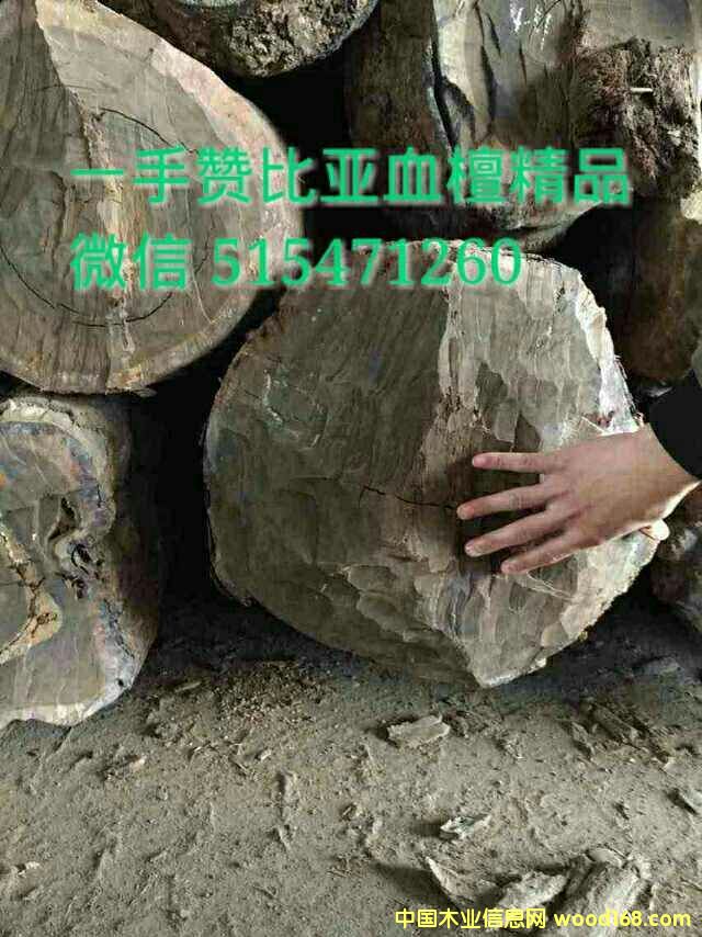 ٝ�ȁ�Ѫ̴���ϵ�Ԕ����B