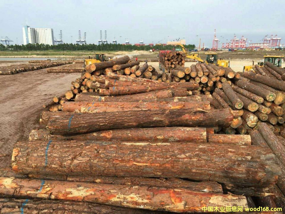 �����m�����ɵ�Ԕ��(x��)��B