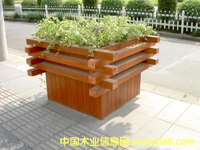 ������ľ����