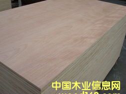 ���b���Ԕ��(x��)��B