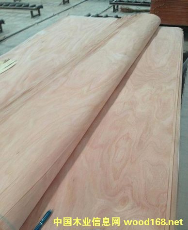 �W�����һ�о�ΰ��Ԕ����B