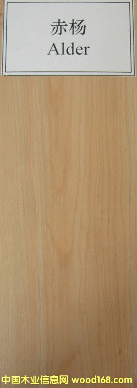 �����Ԕ����B