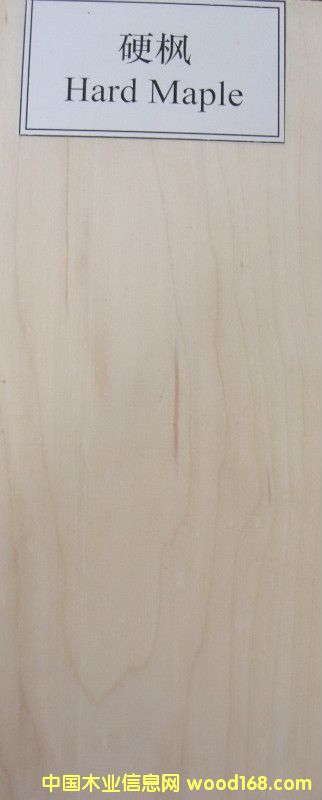 Ӳ����Ԕ����B