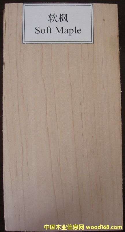 ܛ����Ԕ����B