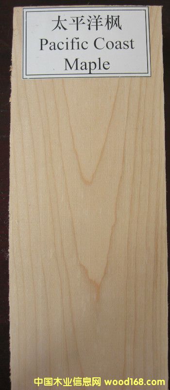 ̫ƽ�����Ԕ����B