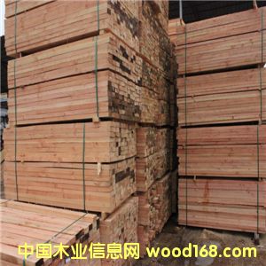 ������ľ����Ԕ��(x��)��B