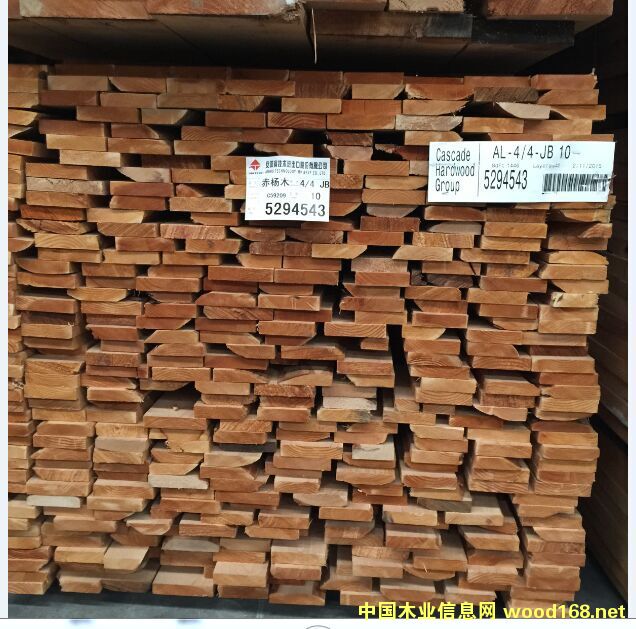 赤楊的詳細(xì)介紹