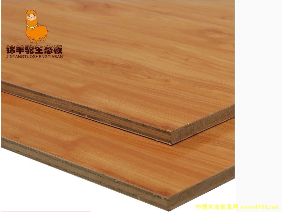 ���ľ��Ԕ��(x��)��B