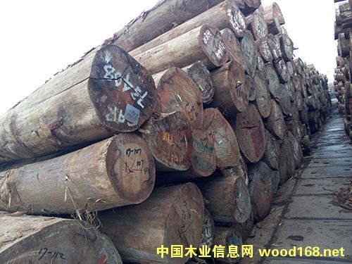 銀口的詳細(xì)介紹