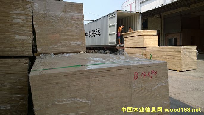 �M�����zľָ�Ӱ�16AA