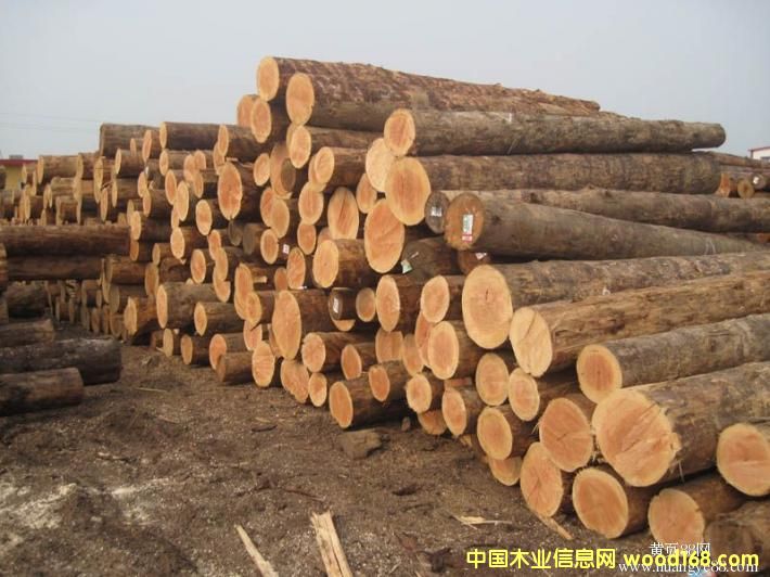 �Fɼ���W�ɵ��M(j��n)��ľ��