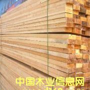 ����ľ����Ԕ��(x��)��B