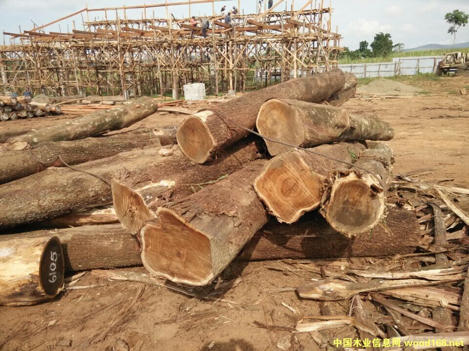 ���~��˼ľԭľ��Ԕ��(x��)��B