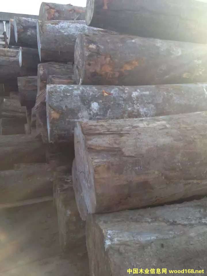 �W�ޙ�ľԭľ�F(xi��n)؛��Ԕ��(x��)��B