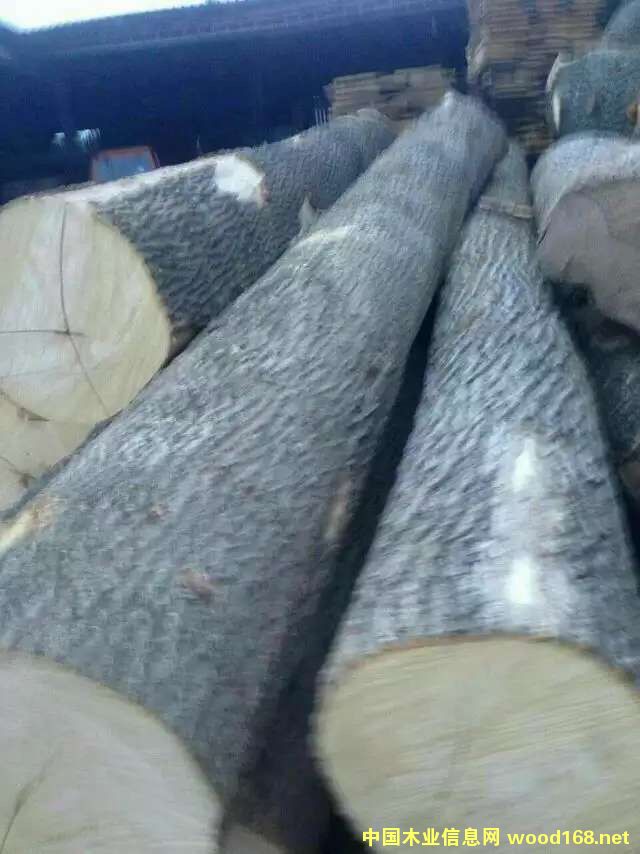 �����S����ϞAB��Ԕ��(x��)��B