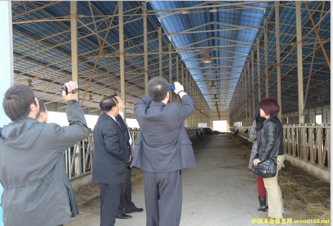 �ն��w�S����(qi��ng)�����ߵ�Ԕ��(x��)��B