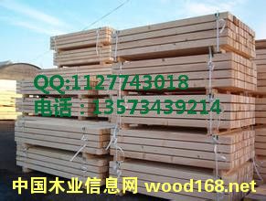 �z�ϰ� �бP�î��ζ��Ӱ� �бP���w���Ԕ��(x��)��B