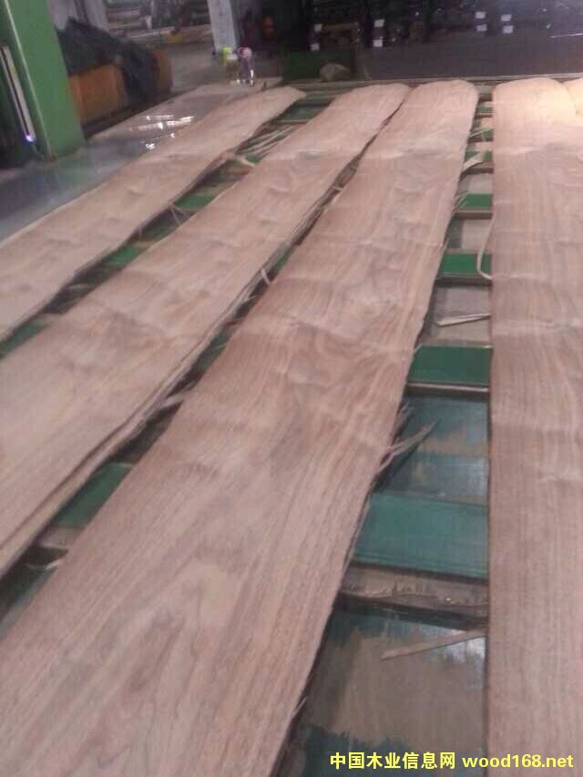 �ں��ҵذ�ľƤ