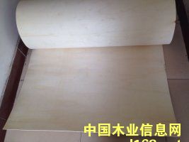 ��ľ�������Ԕ����B