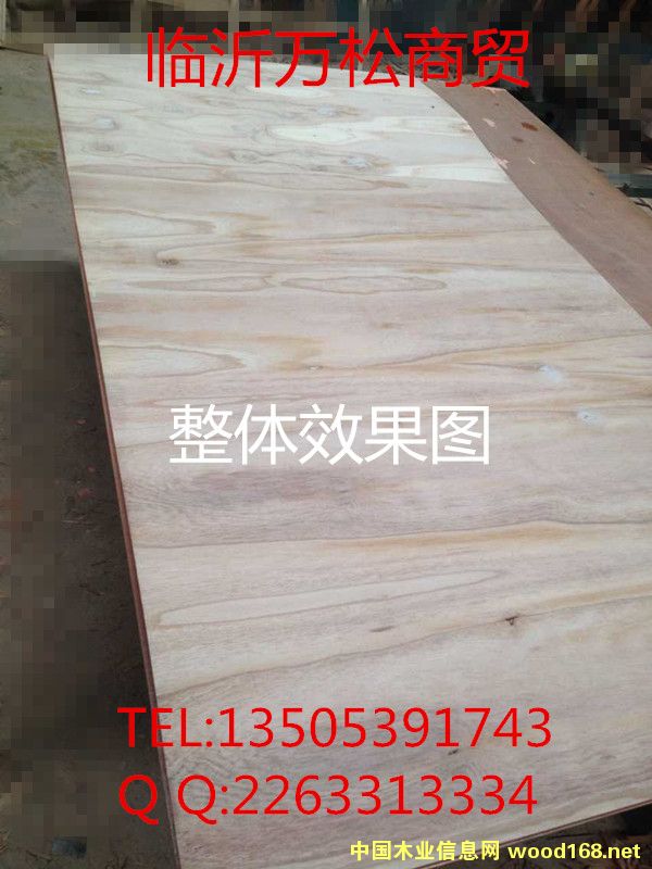 ������ɰ���Ԕ����B