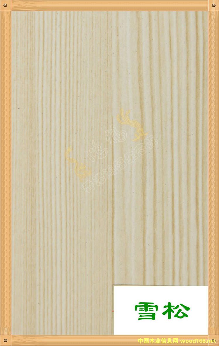 ����������B(t��i)��-ѩ�ɵ�Ԕ��(x��)��B