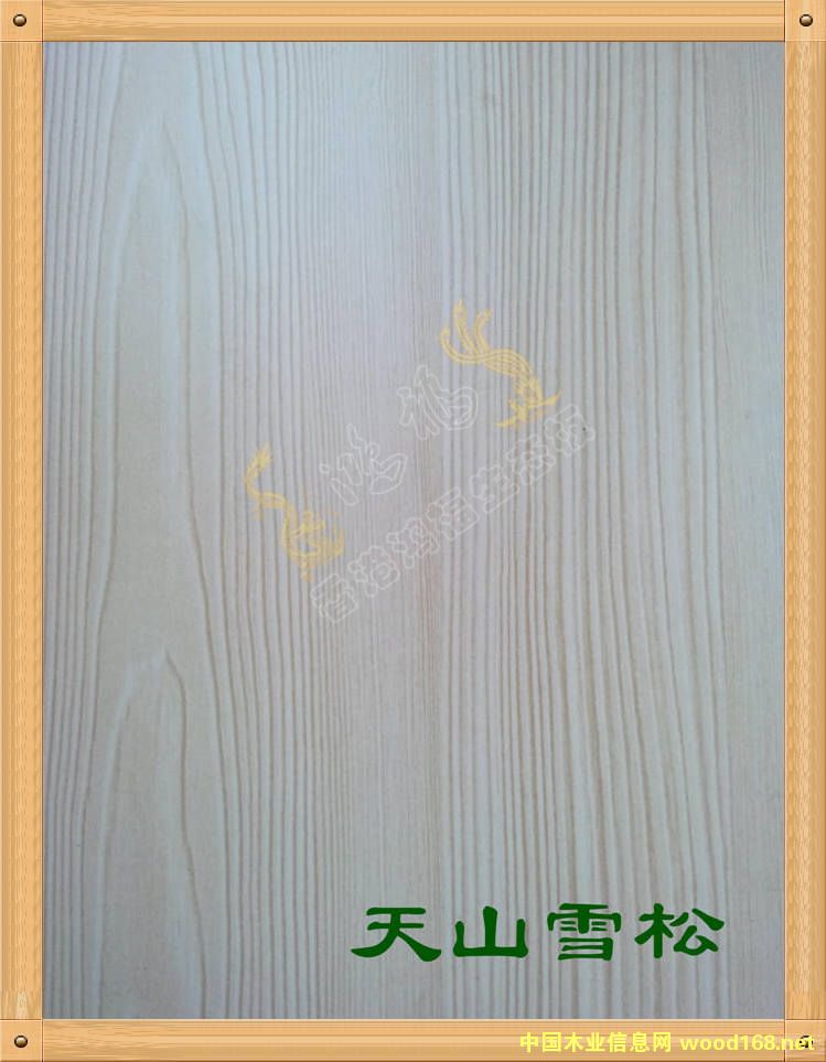 ����������B(t��i)��-��ɽѩ�ɵ�Ԕ��(x��)��B