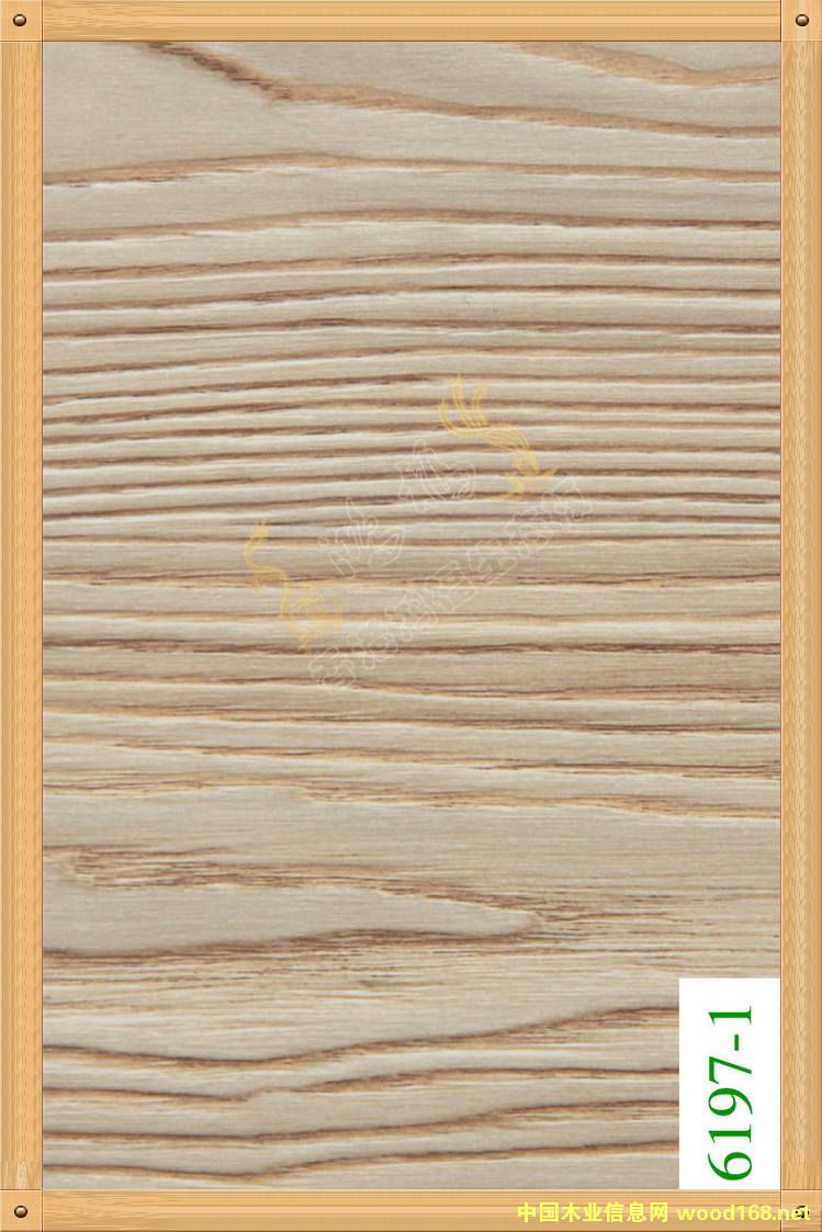 ����������B(t��i)�� 6197-1