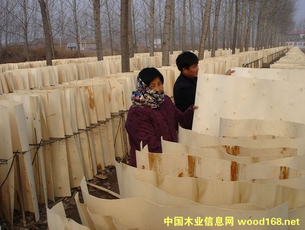 �S�h��Ƥ(li��n)ϵ��Ԕ����B