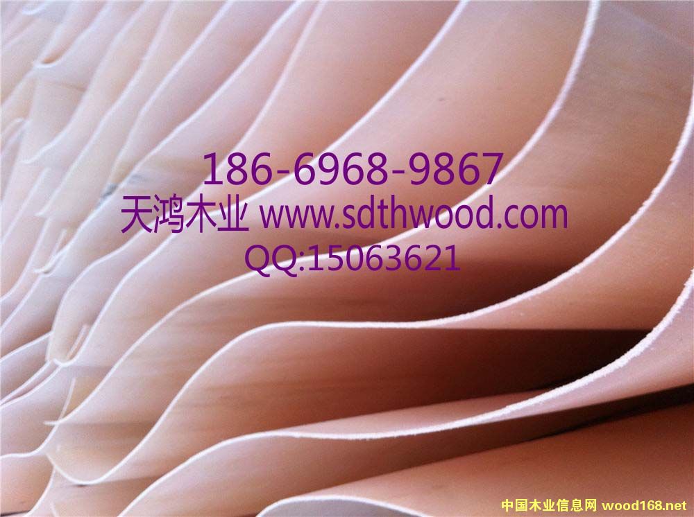 ��ľ�A��Ƥ��Ԕ��(x��)��B