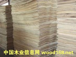 ݗ������ƴ��ƴ��Ԕ��(x��)��B