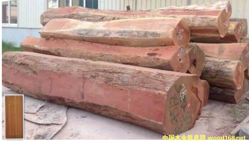 �t̴���Ԕ����B