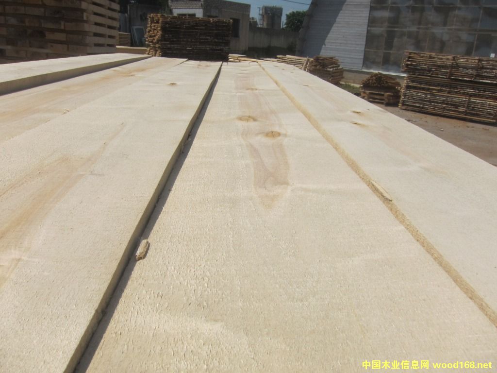 FSC��ľ��ɰ���R߅��