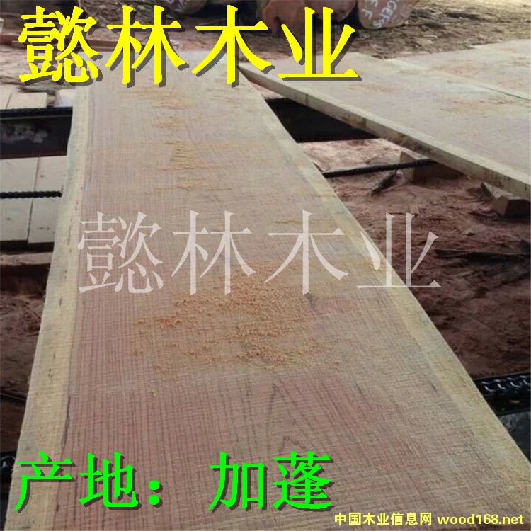 �t��ľ��Ԕ��(x��)��B