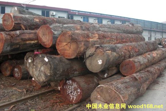 �F����ԭľ