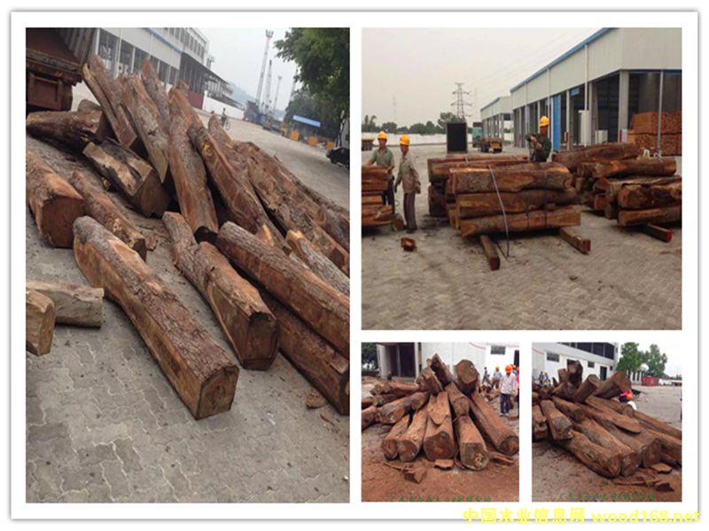 �����̴��Ԕ����B