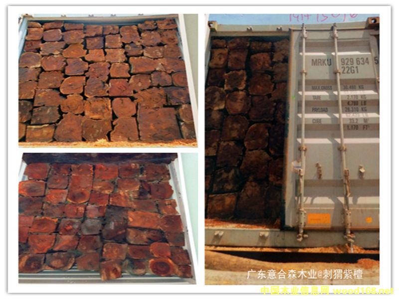 �����̴��Ԕ����B