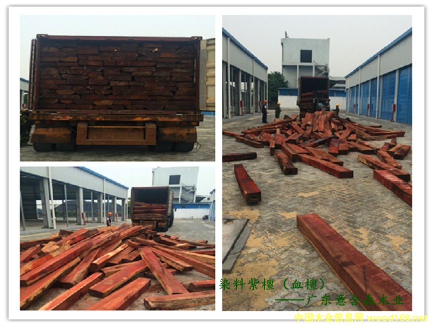 血檀的詳細介紹