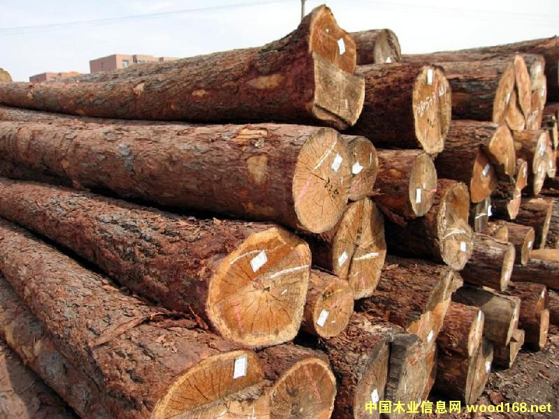 ݗ����ԭľ��Ԕ��(x��)��B