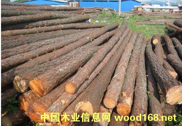 �ӵ��g��ɼľ��4�״��^20����