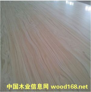 ���ܼ�(x��)ľ�����Ԕ��(x��)��B