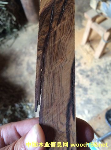 ��������ľԭľ