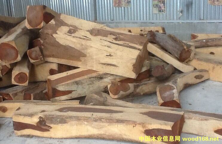 ���l(f��)΢���S̴������t��֦ 