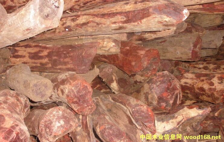 ӡ��С�~��̴ԭľ