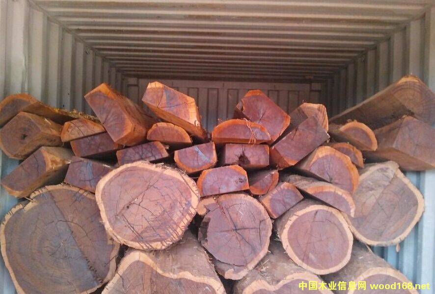 ���l(f��)�t�F�� ԭľ