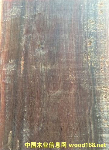 ������������ľԭľ