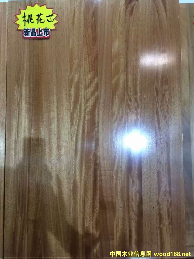 �һ�оֱƴ��ָ�Ӱ��Ԕ����B